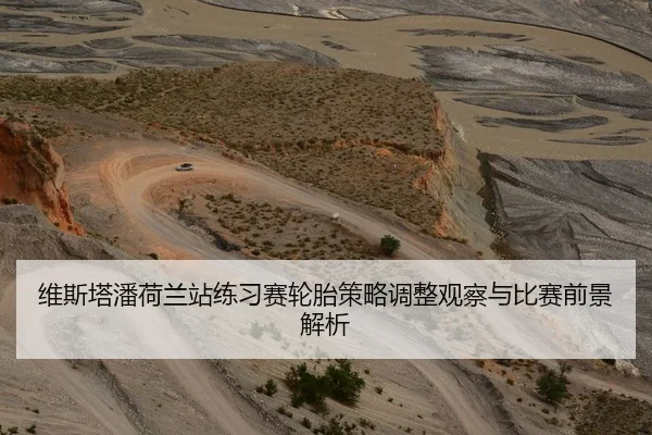 维斯塔潘荷兰站练习赛轮胎策略调整观察与比赛前景解析